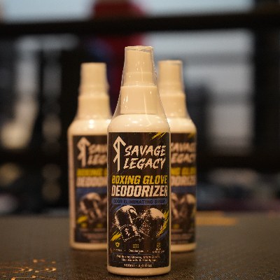 Boxing Glove Deodorizer